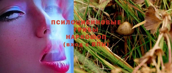 круглые Абаза