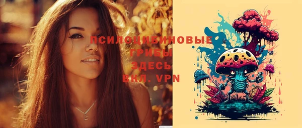 круглые Абаза