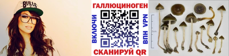 наркотики  Алатырь  Галлюциногенные грибы Psilocybine cubensis 
