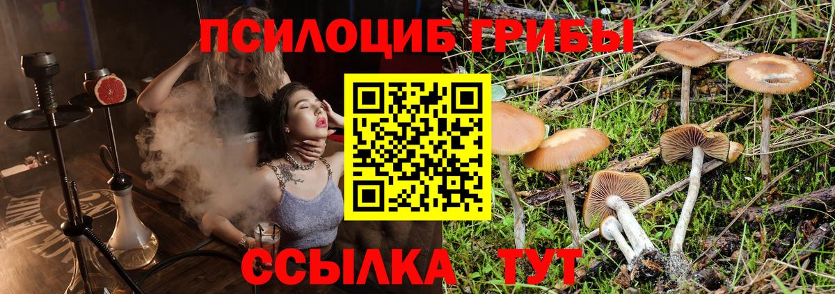 Галлюциногенные грибы ЛСД Алатырь