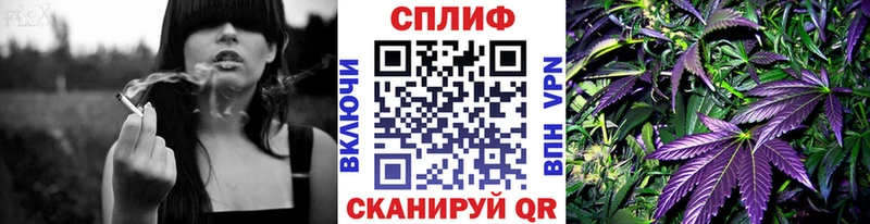 где купить наркотик  Алатырь  Марихуана сатива 